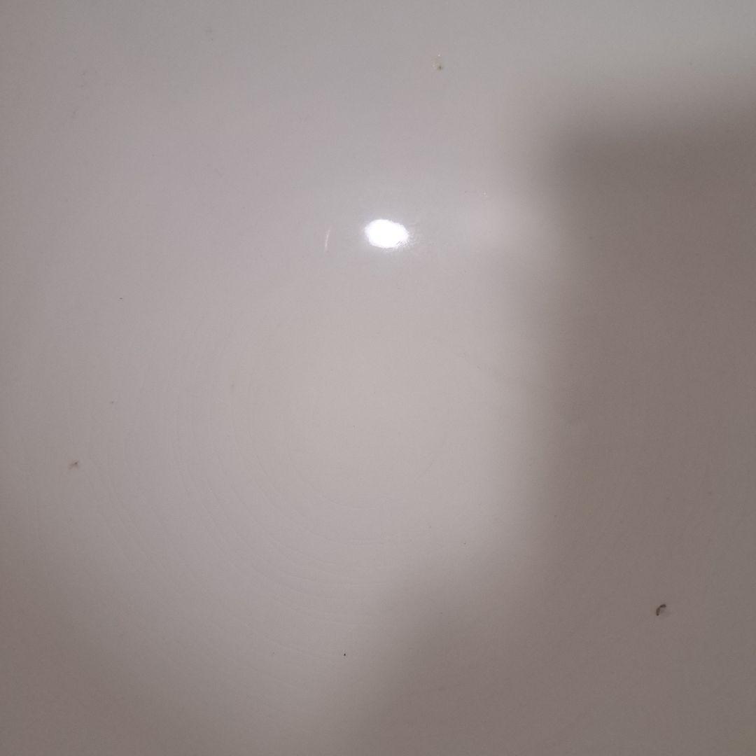 オランダ　アンティーク　ヴィンテージ　ボウル　特大