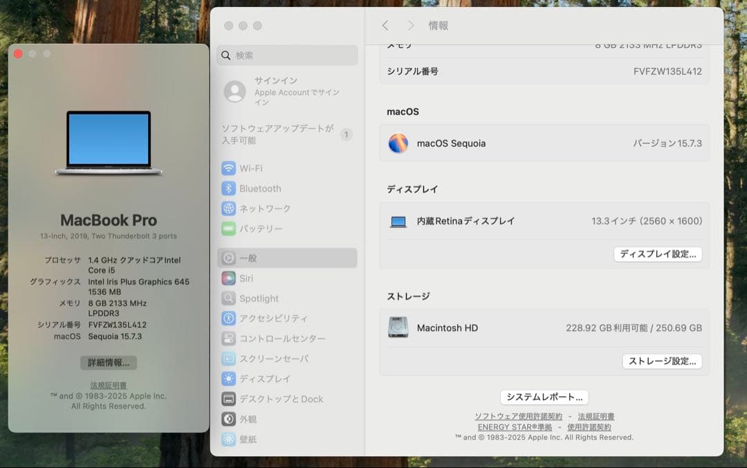 MacBook本体 Apple MacBook Pro 13 2019 i5/8GB/250GB