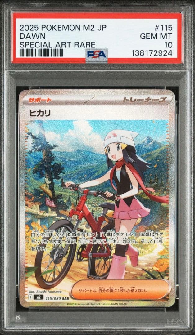 ヒカリSAR PSA10