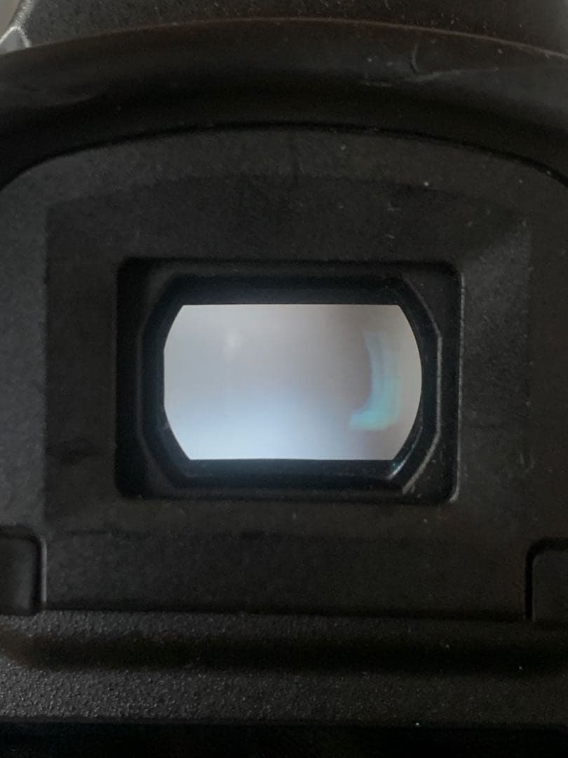 デジタルカメラ canon 1dx