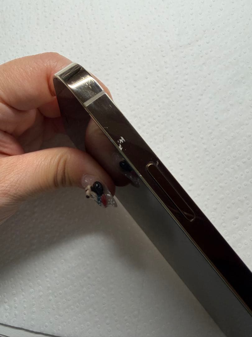 iPhone12pro 512GB ロック解除済　バッテリー73%