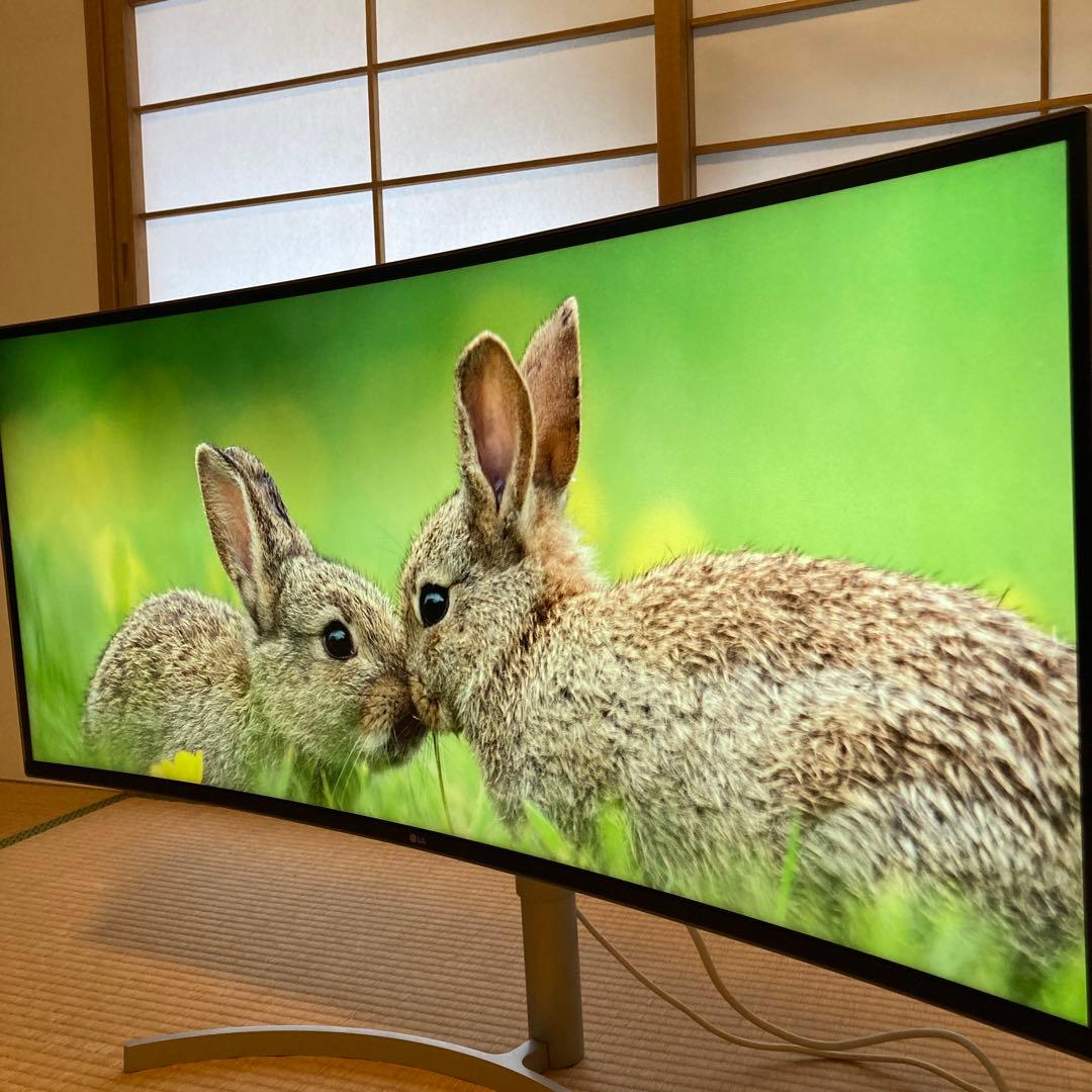 LG 38WK95C-W ウルトラワイドモニター 38インチ HDR10対応