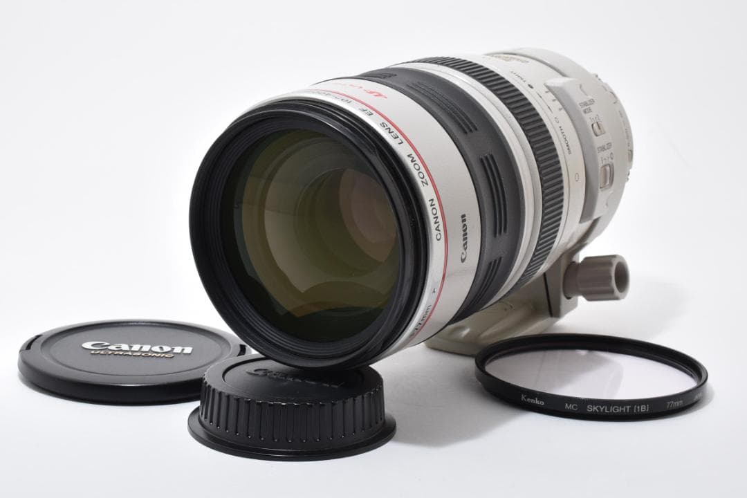 キヤノン Canon EF100-400mm F4.5-5.6L IS USM