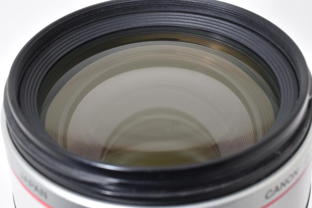 キヤノン Canon EF100-400mm F4.5-5.6L IS USM