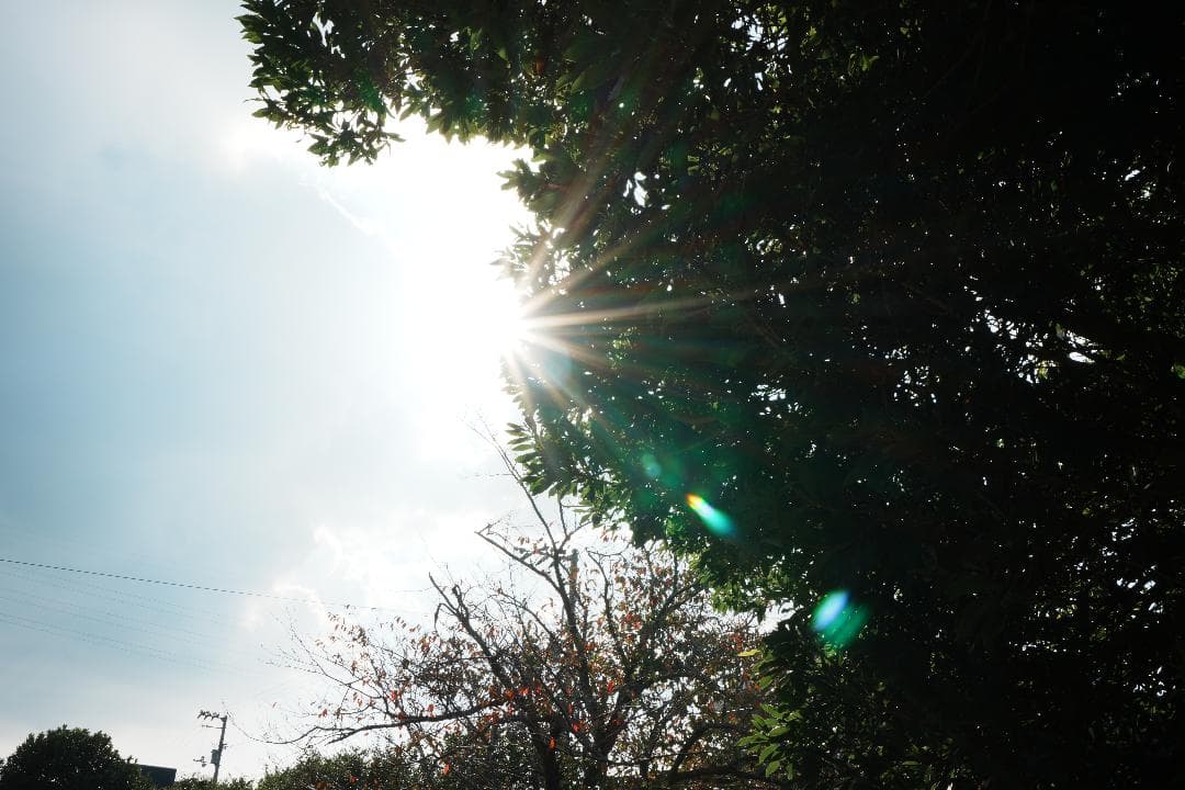 【プロ検証済】SONY SEL20F28 未使用級！持ち歩ける最強スナップレンズ