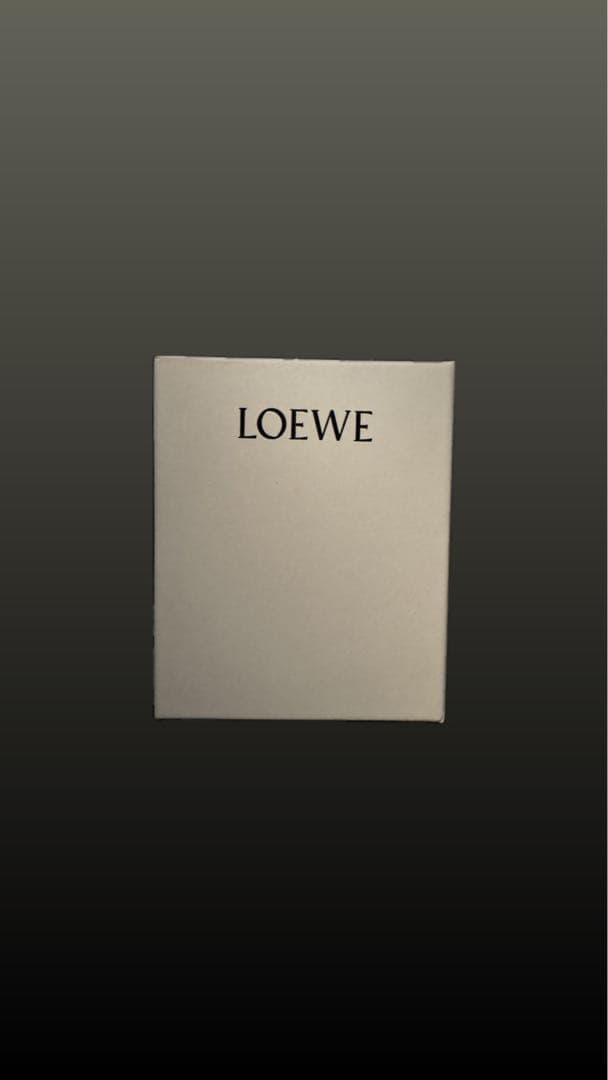 LOEWE 名刺入アナグラムビジネスカードホルダー
