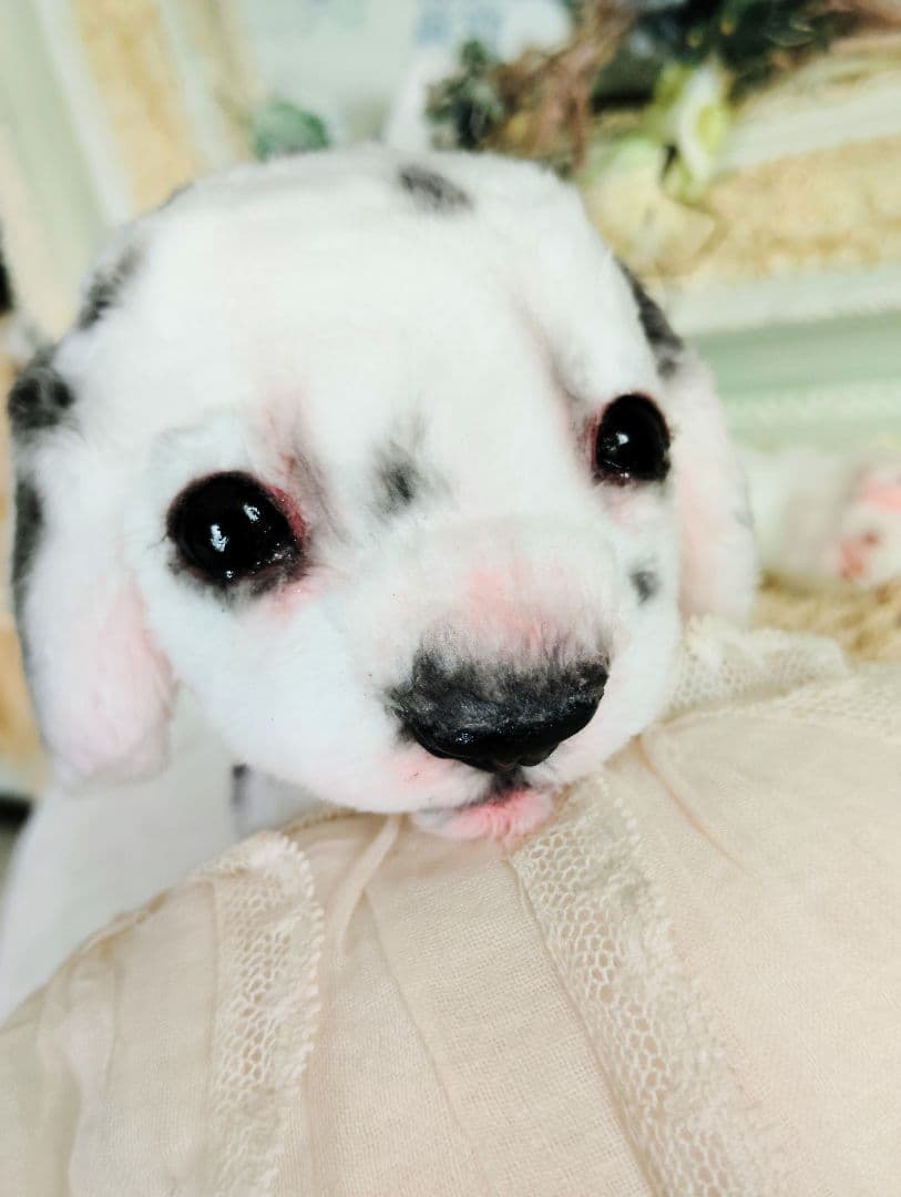 ちびのすけちゃん❤オーダー❤ダルメシアン子犬♡ベビー♡アートドール♡
