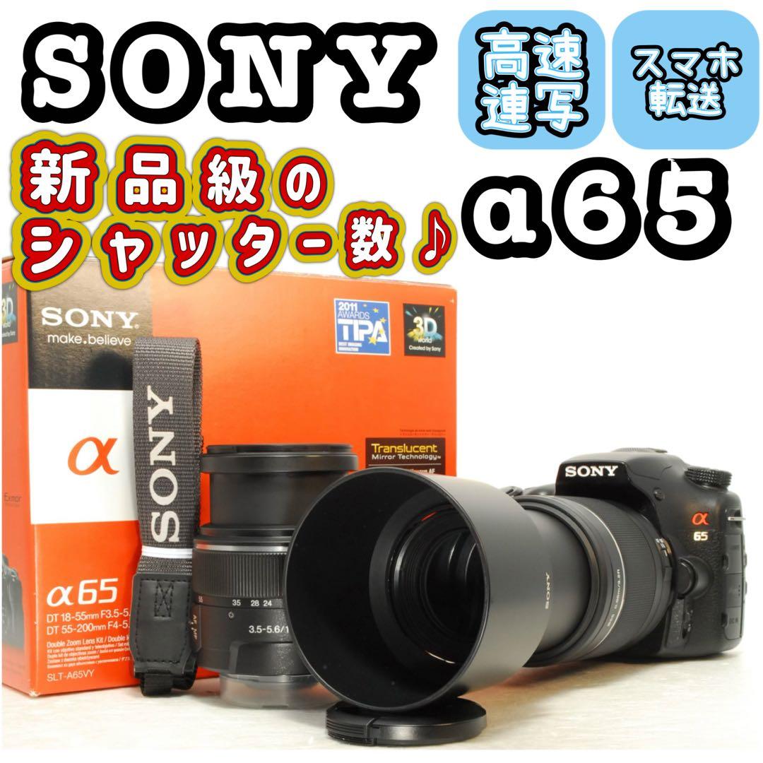 とんとん様フォロー割_SONY α65 ❤️ダブルレンズキット 一眼レフカメラ