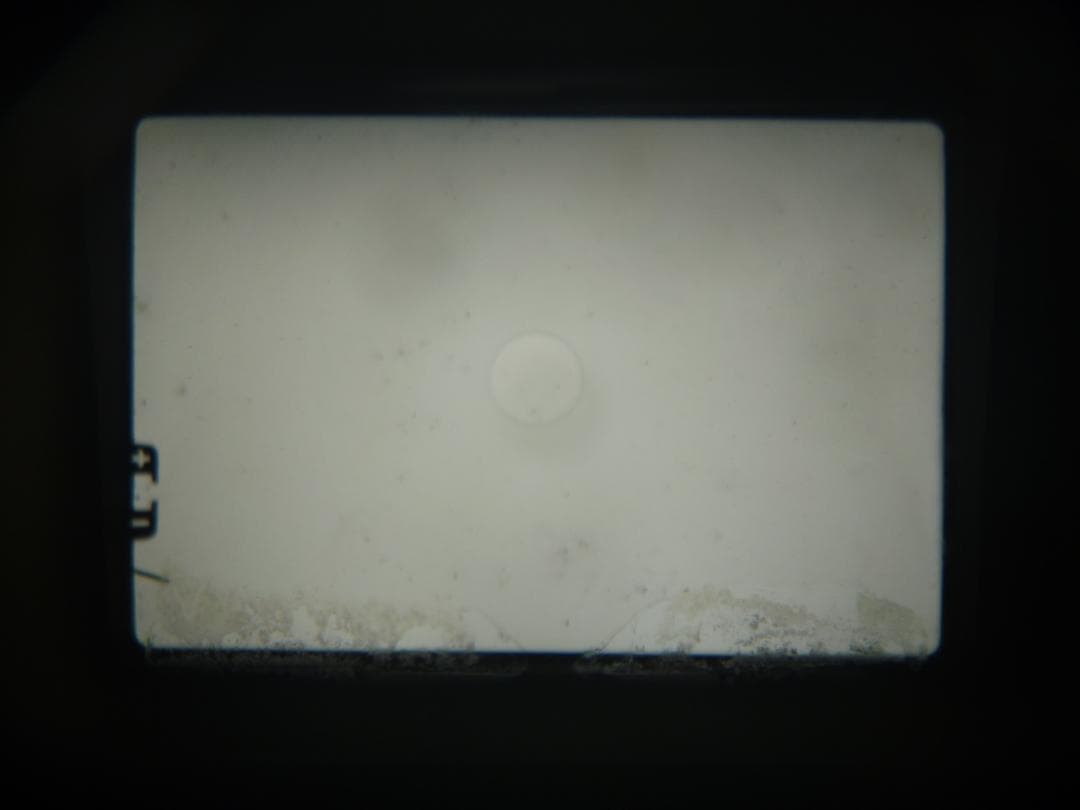 ③プリズム交換済 OM-1 28mm 広角レンズ OLYMPUS オリンパス