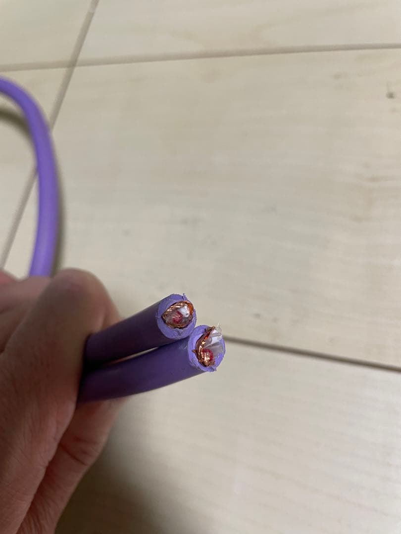 acoustic revive spc-reference オーディオ