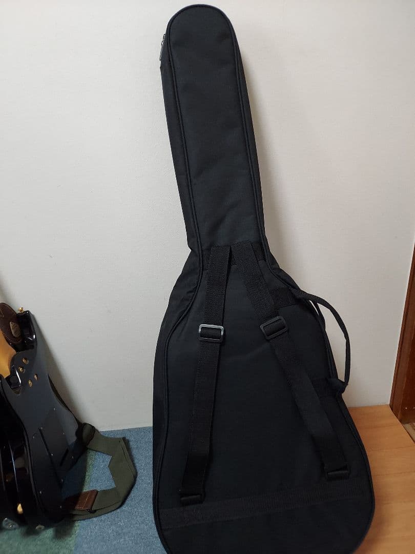 新品同様　フェンダー　エレアコ　専用ソフトケース付き　極上コンディション