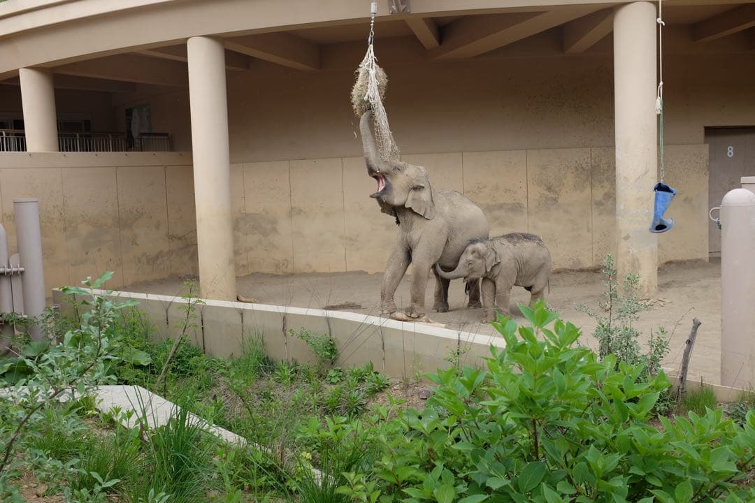デジタルカメラ FUJIFILM X100S Black Limited Edition