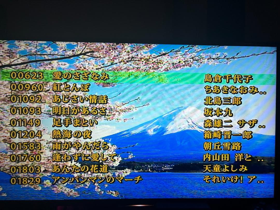 カラオケ一番 カラオケ１番 YK-3008 チップ カートリッジ 100曲 C