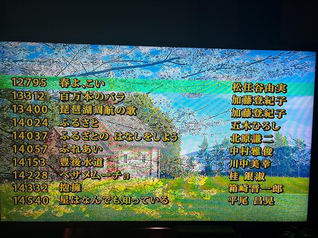 カラオケ一番 カラオケ１番 YK-3008 チップ カートリッジ 100曲 C