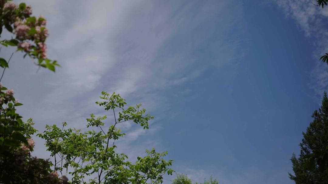 【中古・良品】MS-OPTICS LUMITAR 50mm f3.5 LM