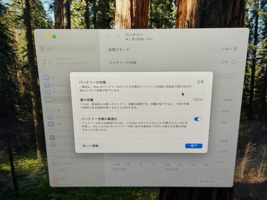 【ほぼ新品】MacBook Air M3 16GB 256GB 13インチ