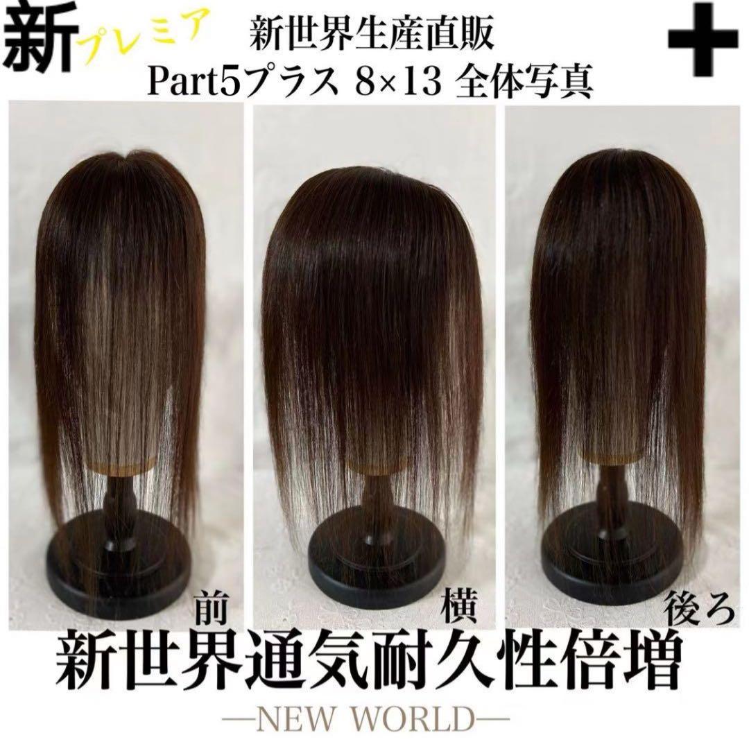最新20252026新世界8*13Part⑤＋ヘアピース　人毛レミー総手植え