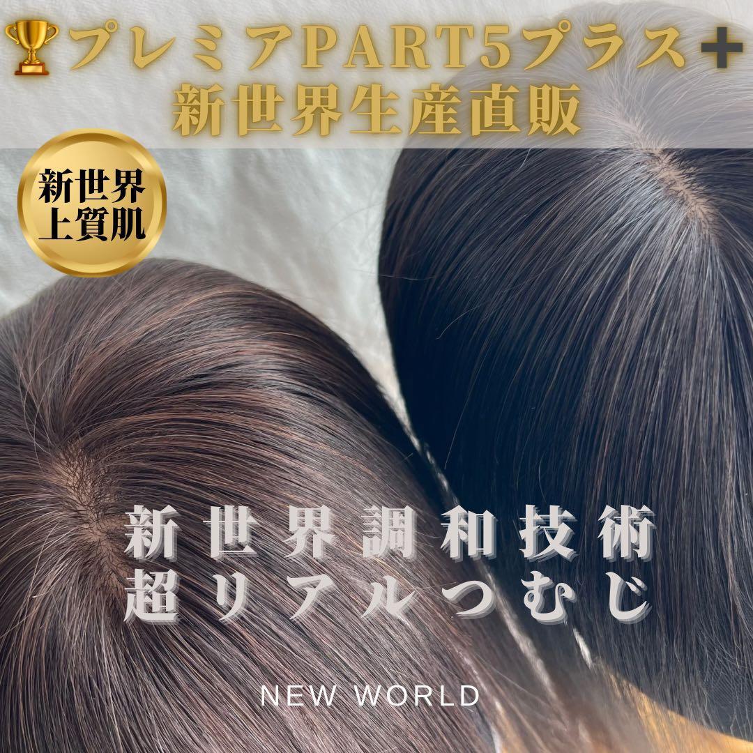 最新20252026新世界8*13Part⑤＋ヘアピース　人毛レミー総手植え