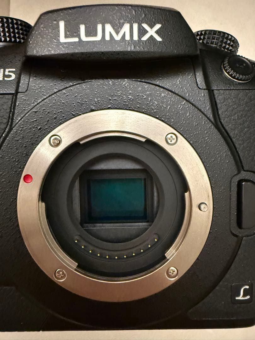 LUMIX G DC-GH5M デジタルカメラ/レンズキット/ボディ