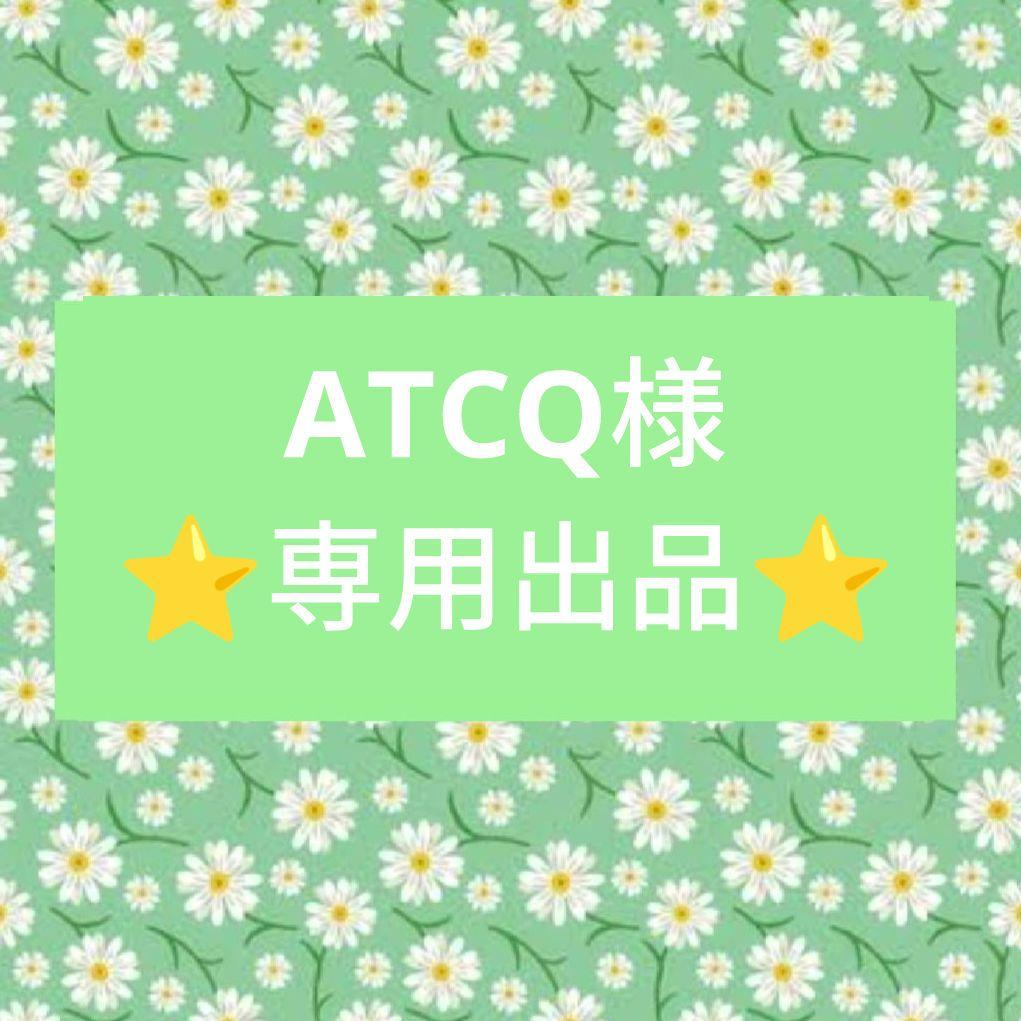 ATCQ様❤専用出品❤Nikon 55-300mm f/4.5-5.6G ED❤