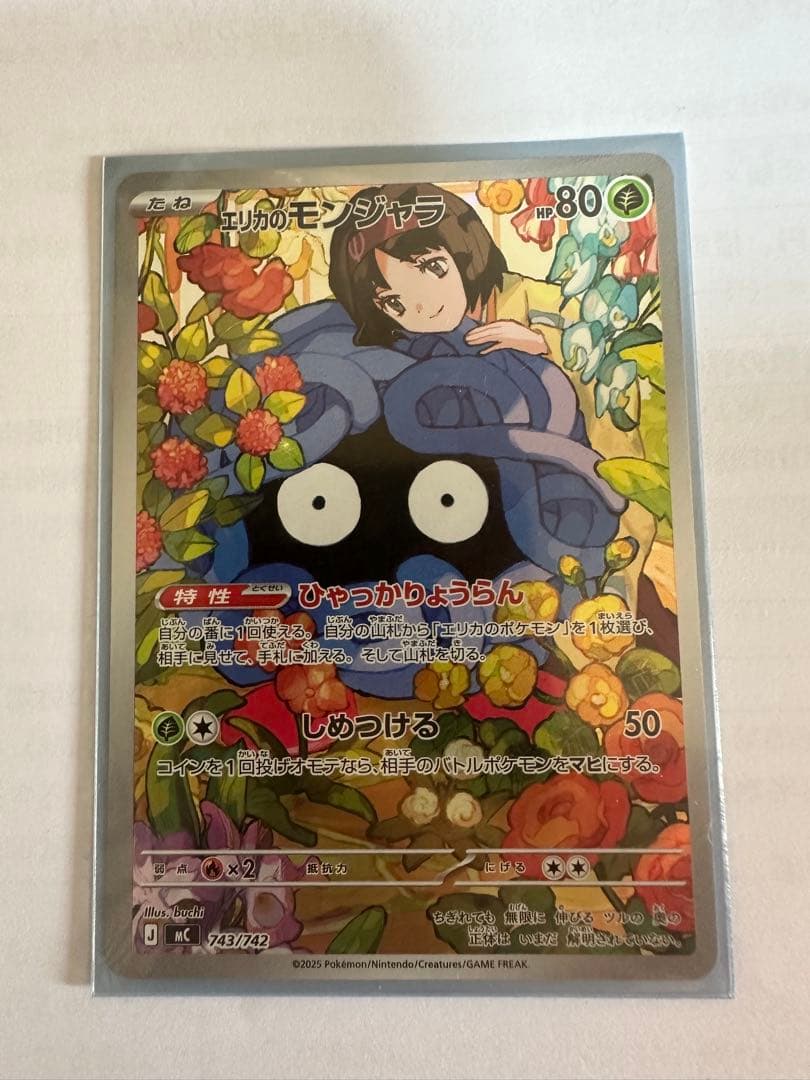 エリカのモンジャラ　AR