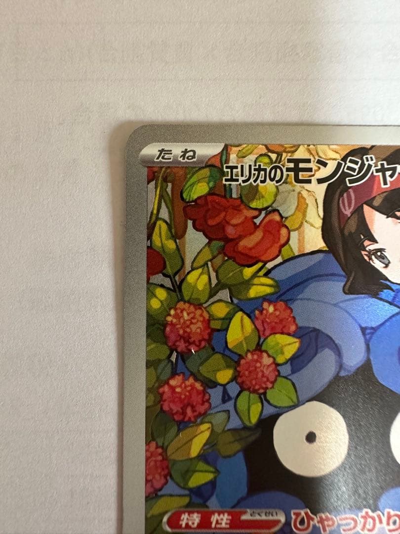 エリカのモンジャラ　AR