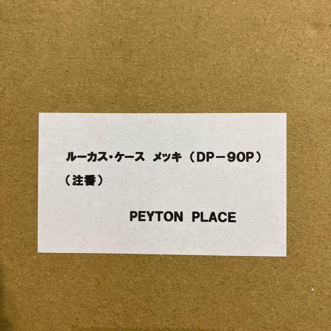 ルーカスヘッドライト　ペイトンプレイス　SR400 メッキ　ケース