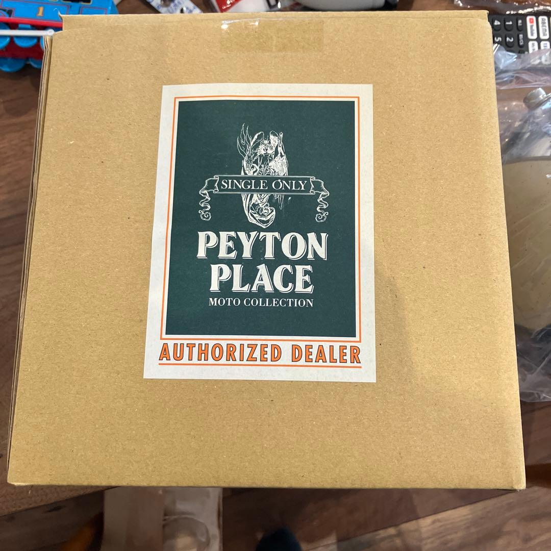 ルーカスヘッドライト　ペイトンプレイス　SR400 メッキ　ケース