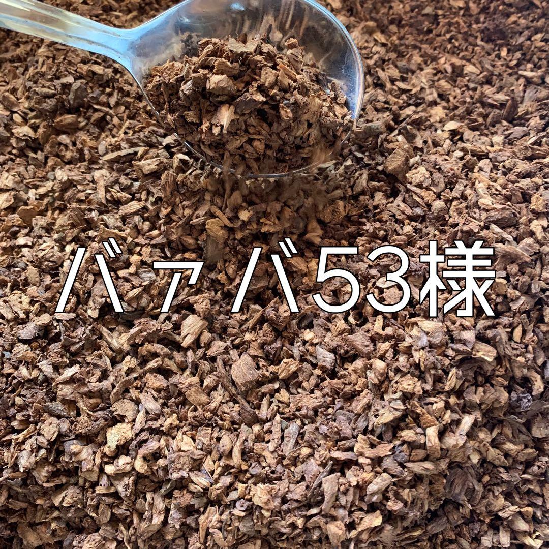 バァバ53ページ✩︎⡱