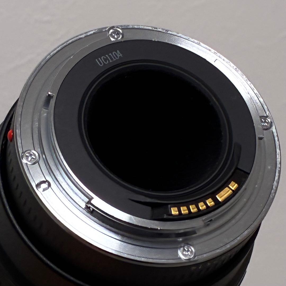 ⭐️美品⭐️キャノン Canon EF 100-300mm F5.6 L 望遠レンズ