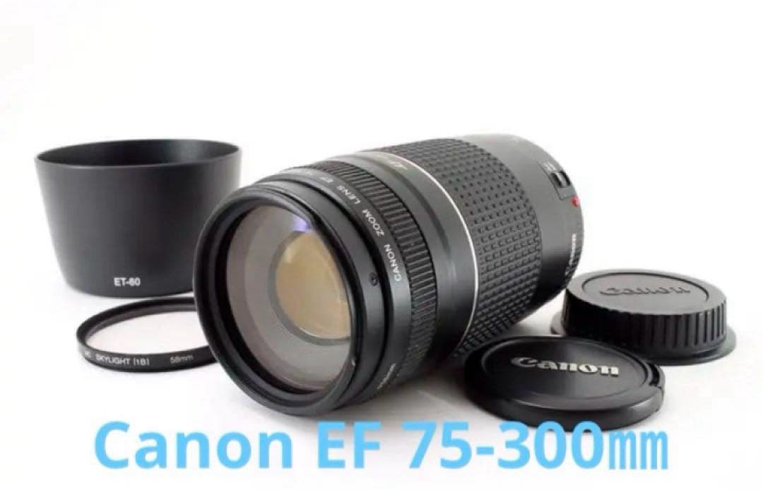 スポーツ⭐︎イベント運動会⭐︎迫力300㎜⭐︎Canon EF75-300 USM