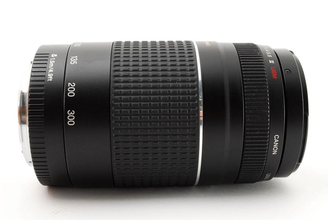 スポーツ⭐︎イベント運動会⭐︎迫力300㎜⭐︎Canon EF75-300 USM