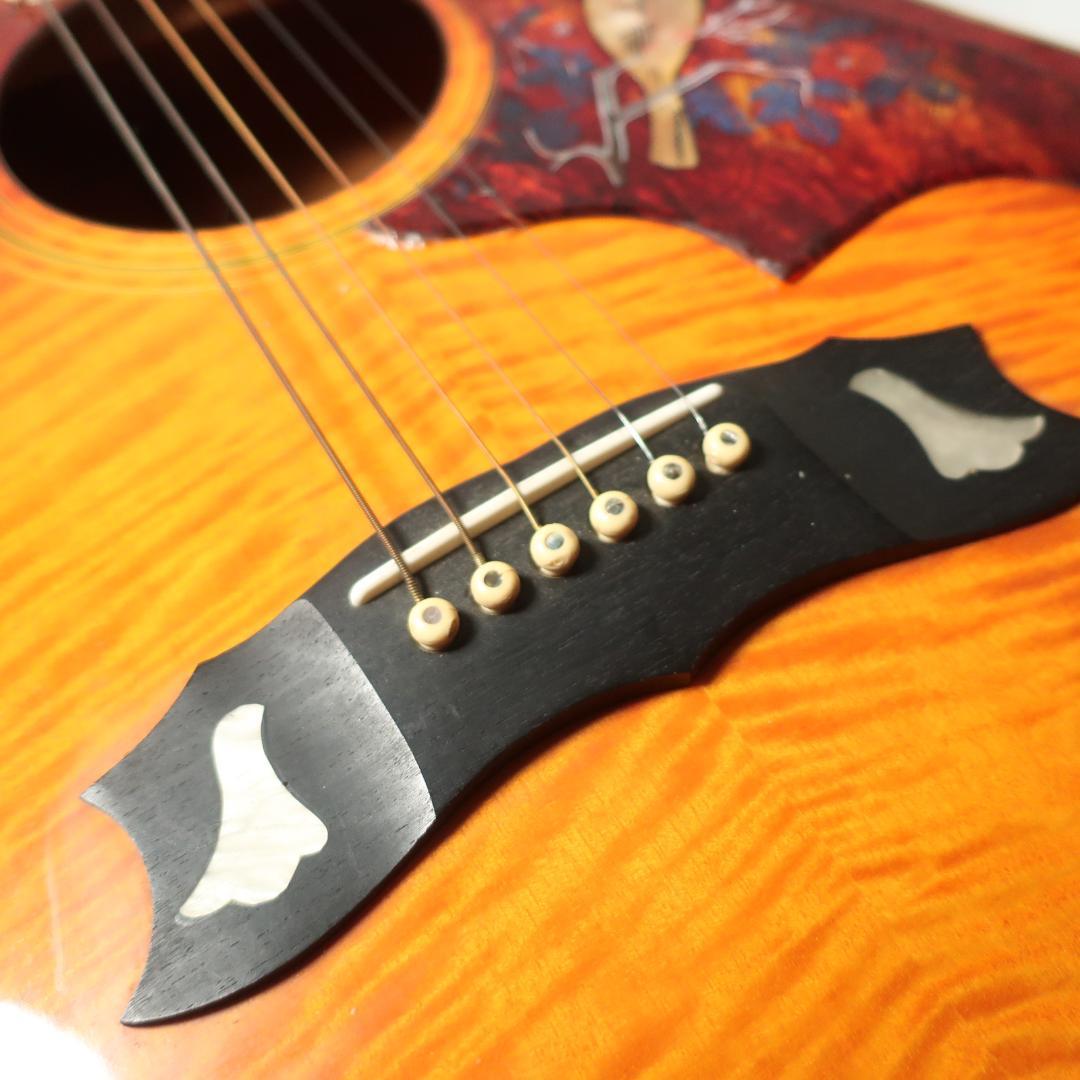 JAGARD TB-350 ギター ハミングバードDOVEタイプ ハードケース付