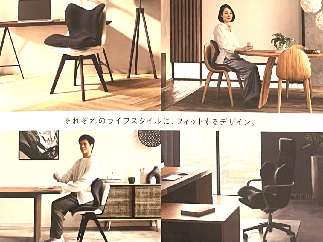 【美品・送料無料】Style PREMIUM 姿勢矯正 骨盤サポートチェア座椅子