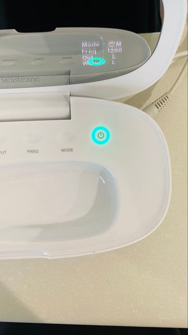 モイスティーヌⅣ