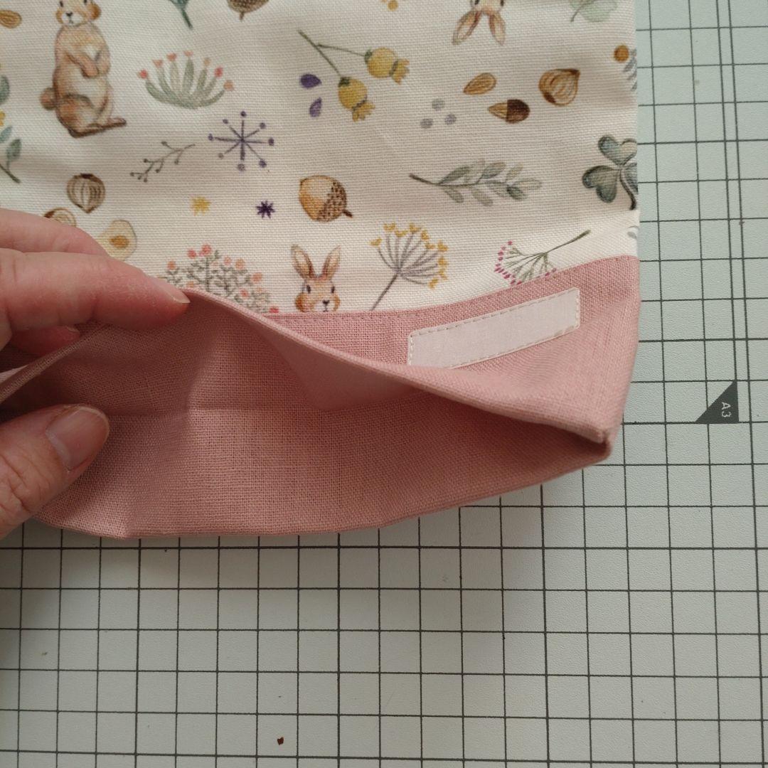 りんご　ミルキーラビット　5点