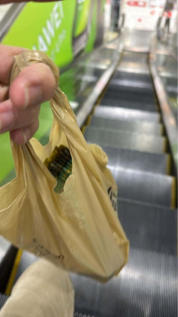 megaドリームex 40パック（4box分）封入率一致