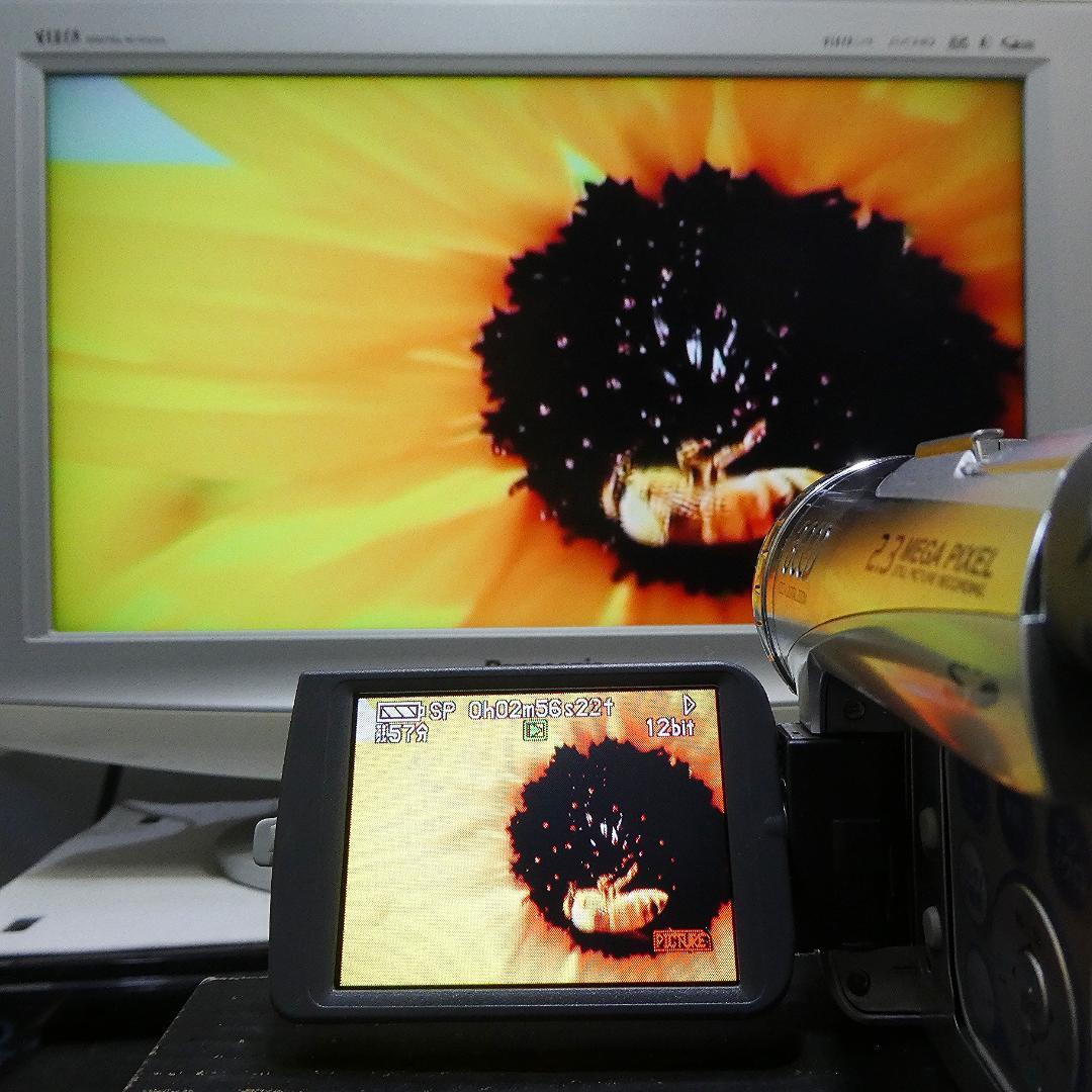 動作良好 パナソニック NV-GS200 MiniDVビデオDVDダビングに最適