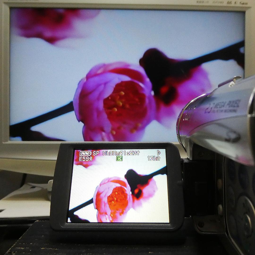 動作良好 パナソニック NV-GS200 MiniDVビデオDVDダビングに最適