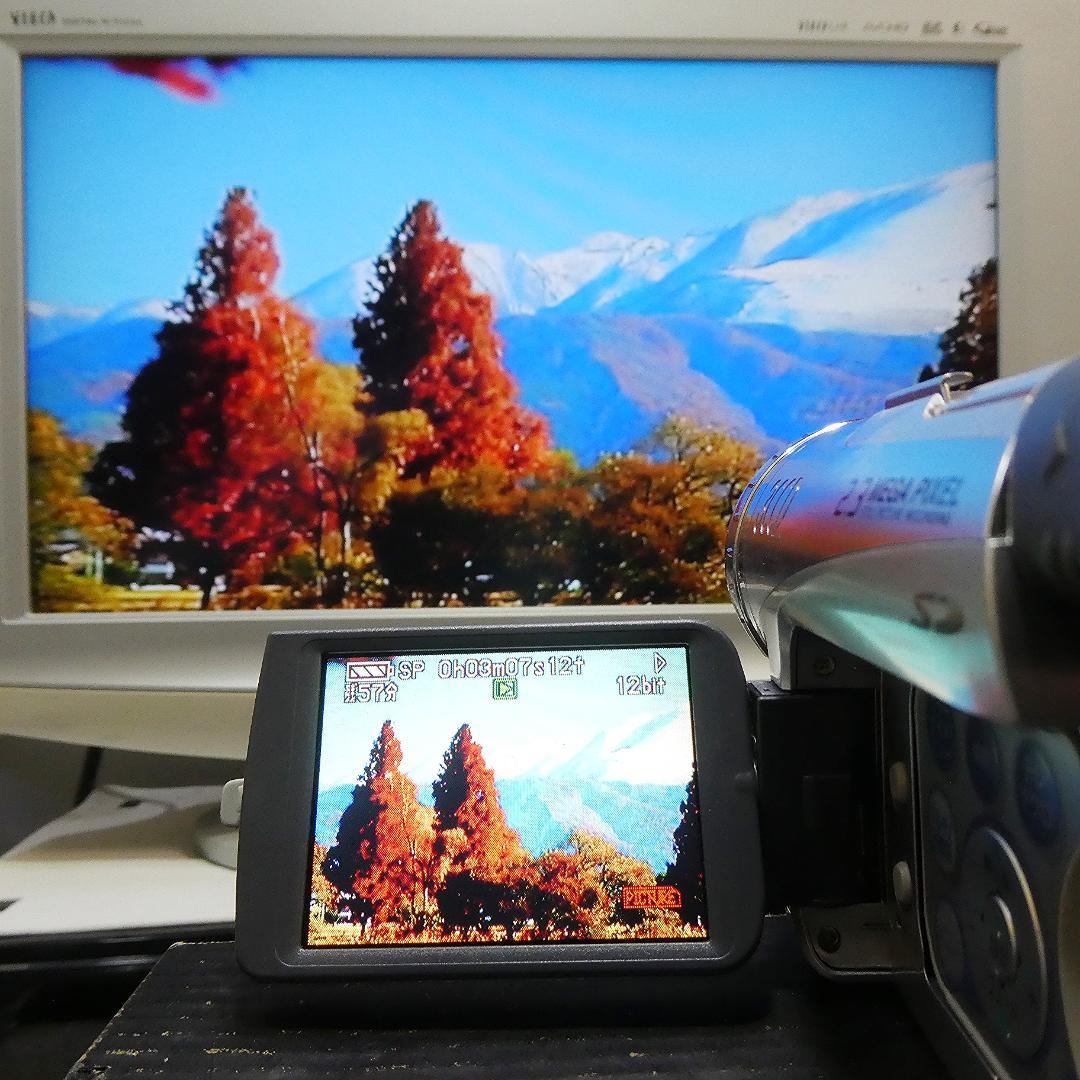 動作良好 パナソニック NV-GS200 MiniDVビデオDVDダビングに最適