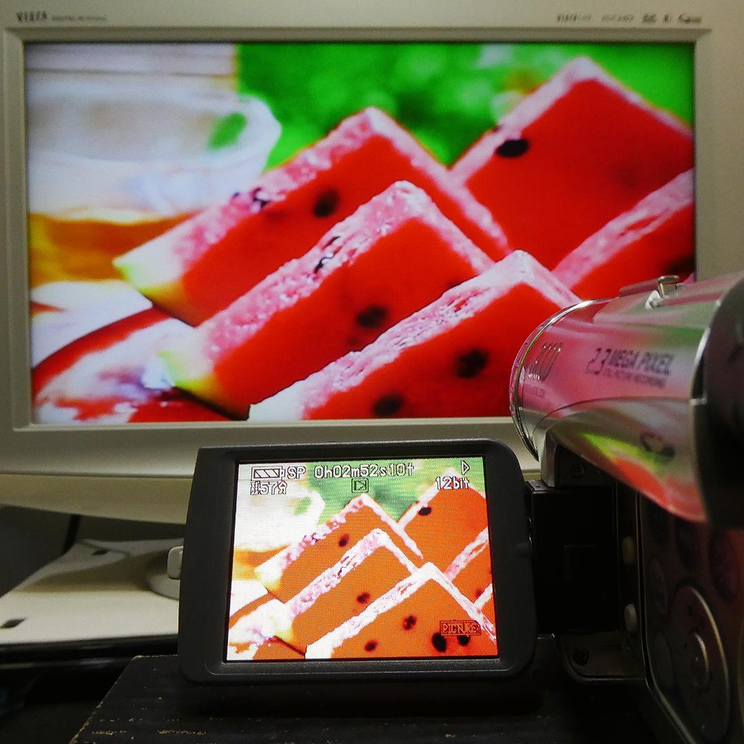 動作良好 パナソニック NV-GS200 MiniDVビデオDVDダビングに最適