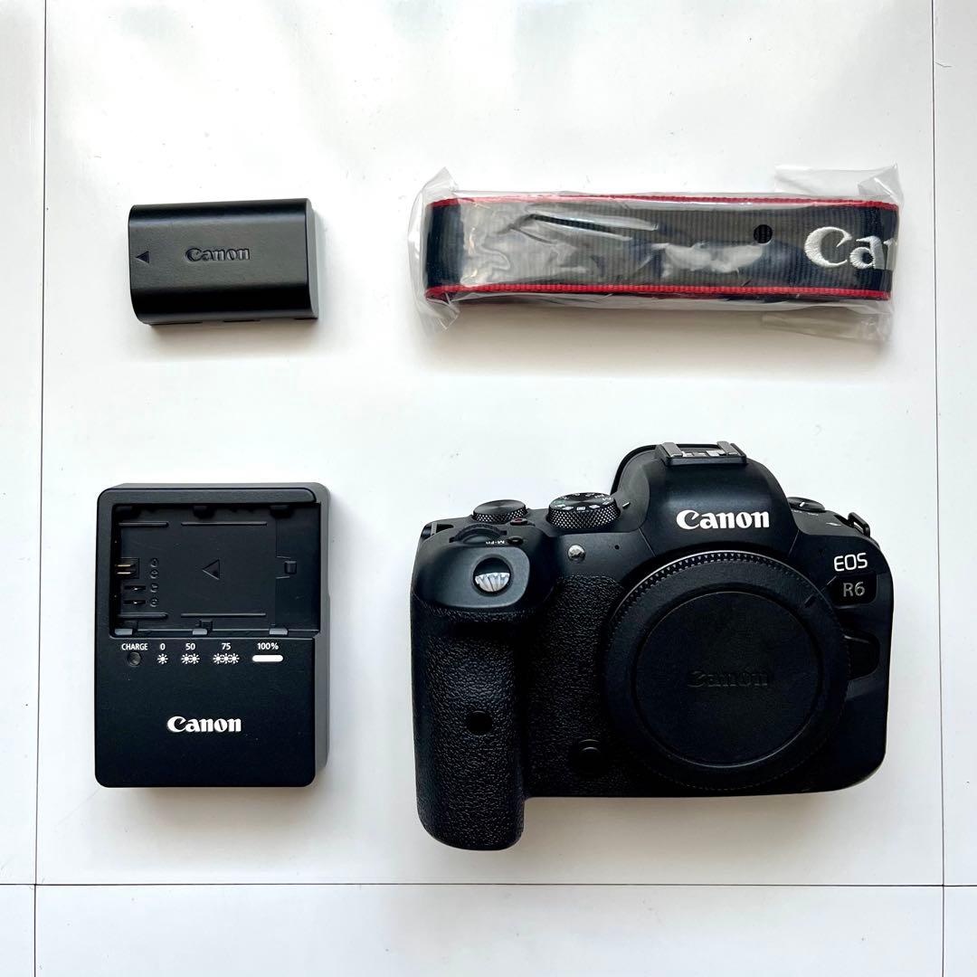 ※ジャンク品　Canon EOS R6 ミラーレス一眼 カメラ 本体