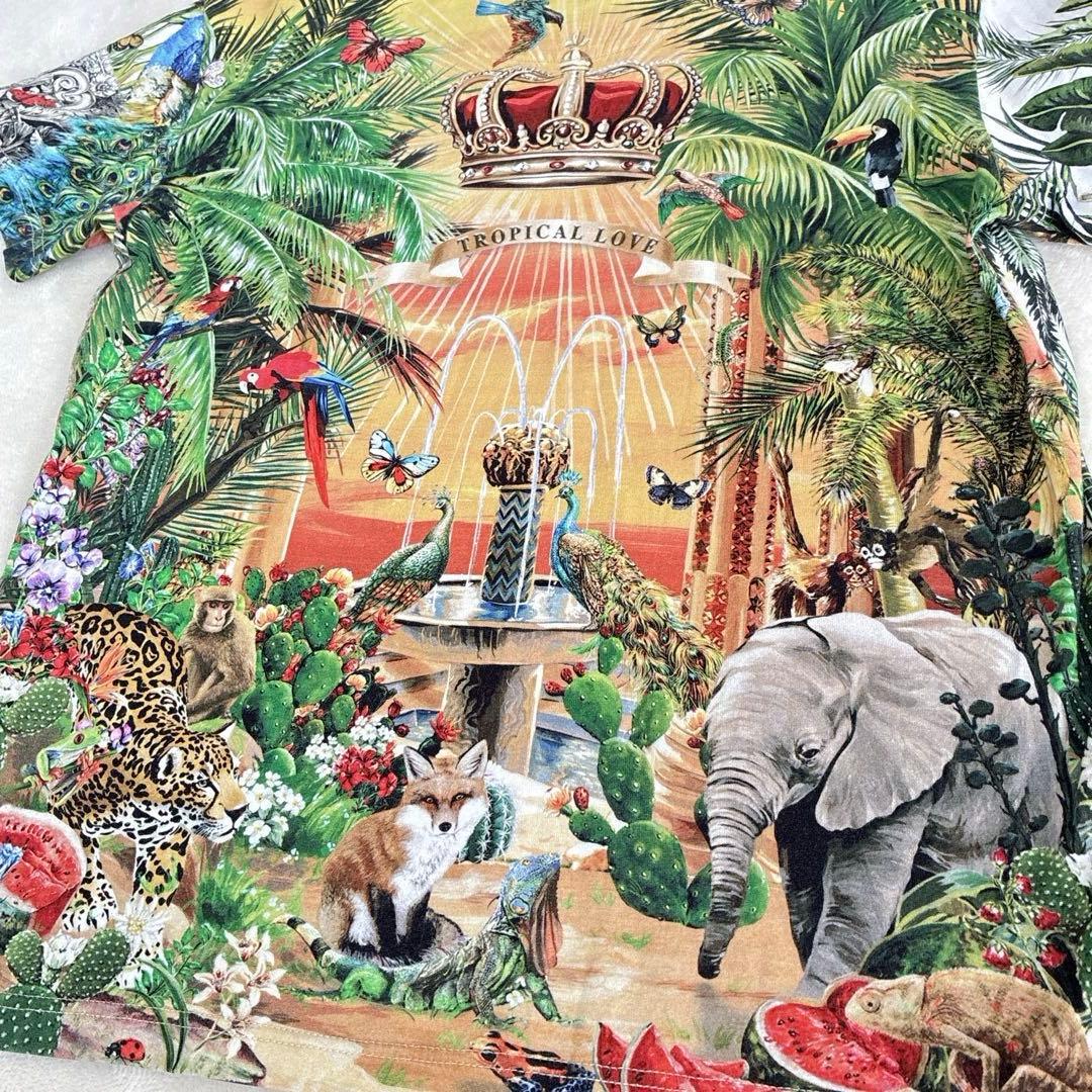 DOLCE&GABBANA ドルチェアンドガッバーナ　トロピカルラブ　130