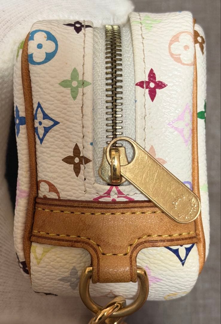 【希少品】ルイヴィトン ポーチ トゥルース ワピティ モノグラムマルチカラー