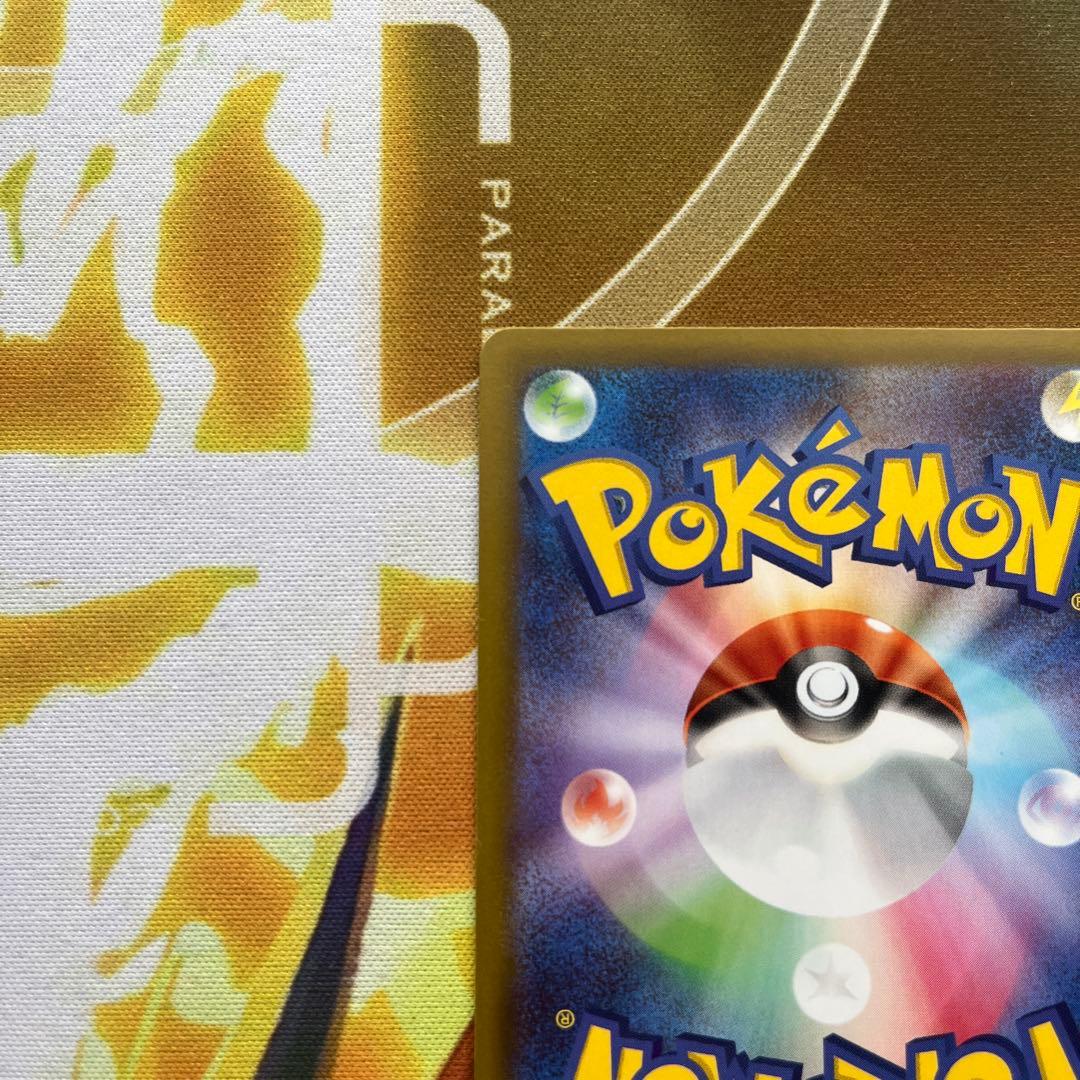 美品　メイのはげまし SAR