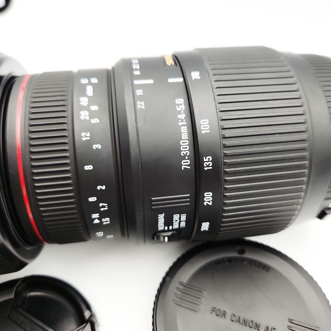 SIGMA APO DG 70-300mm 一眼レフ ズームレンズ カメラ