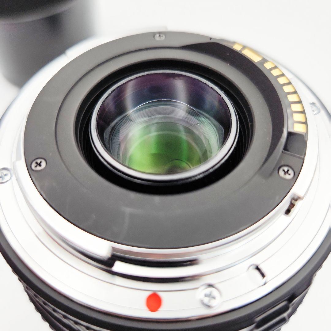 SIGMA APO DG 70-300mm 一眼レフ ズームレンズ カメラ