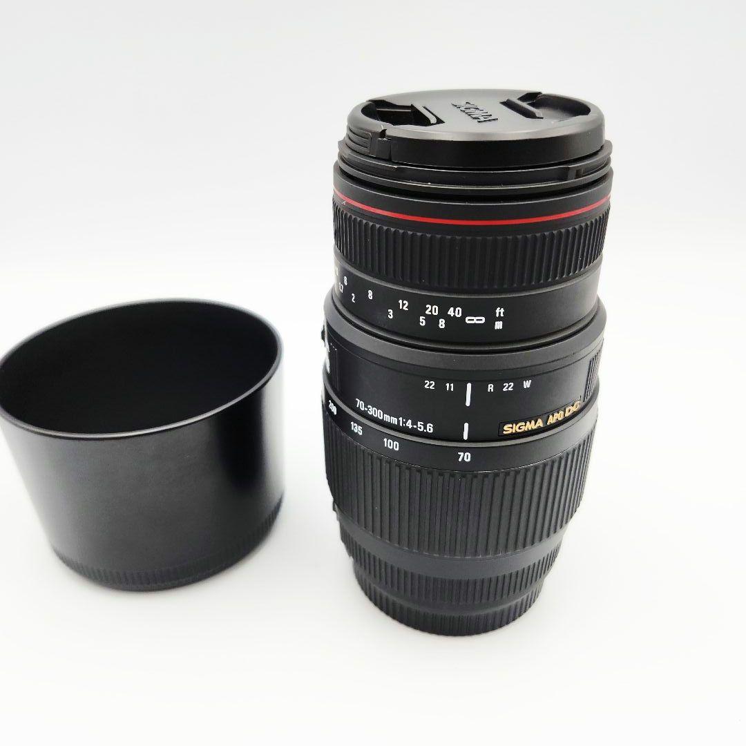 SIGMA APO DG 70-300mm 一眼レフ ズームレンズ カメラ