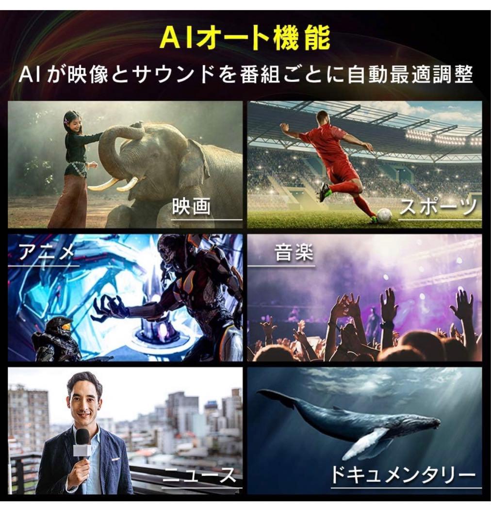 新品未開封 アイリスオーヤマ 55V型 4Kチューナー内蔵 液晶テレビ LUCA