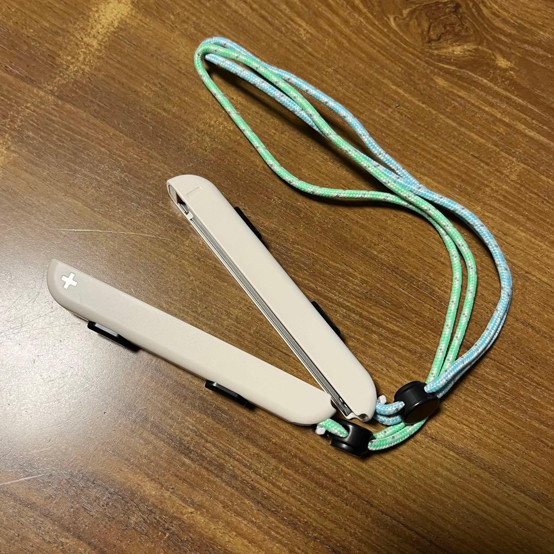 Nintendo Switch あつまれどうぶつの森　あつ森　スイッチ　本体